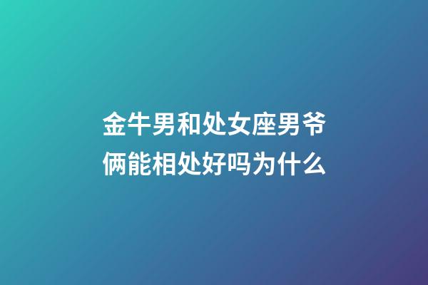 金牛男和处女座男爷俩能相处好吗为什么-第1张-星座运势-玄机派