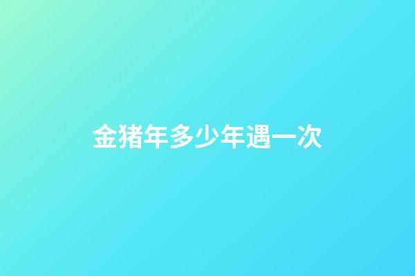 金猪年多少年遇一次