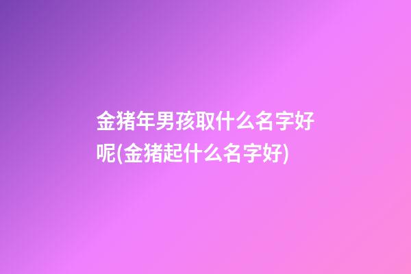 金猪年男孩取什么名字好呢(金猪起什么名字好)