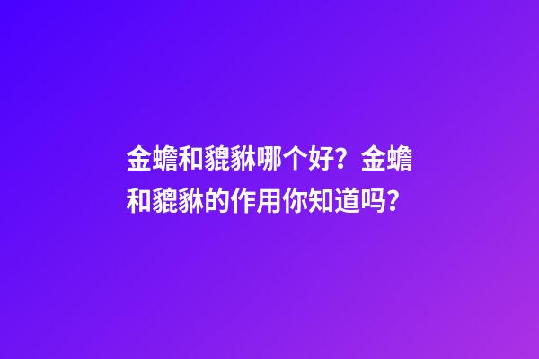 金蟾和貔貅哪个好？金蟾和貔貅的作用你知道吗？
