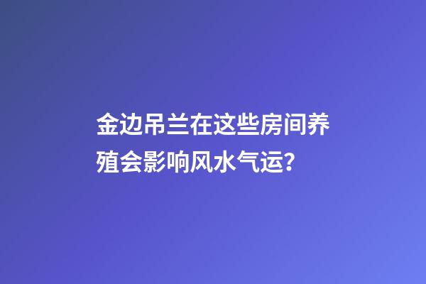 金边吊兰在这些房间养殖会影响风水气运？