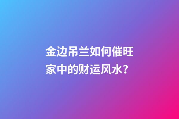 金边吊兰如何催旺家中的财运风水？