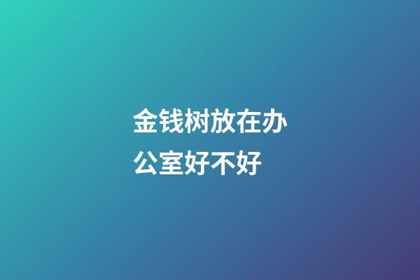 金钱树放在办公室好不好