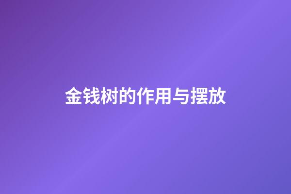 金钱树的作用与摆放