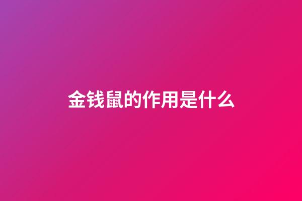 金钱鼠的作用是什么