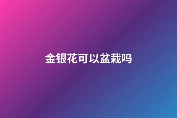 金银花可以盆栽吗