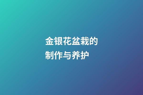 金银花盆栽的制作与养护