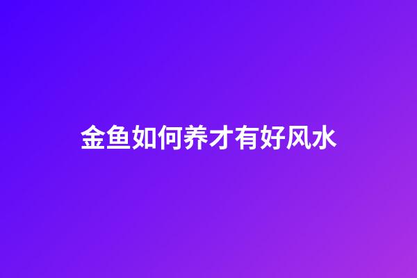 金鱼如何养才有好风水