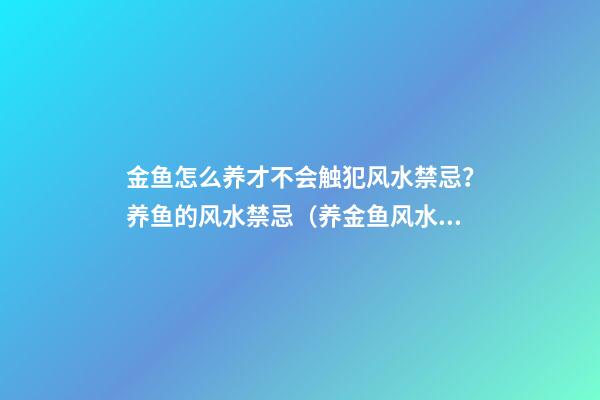 金鱼怎么养才不会触犯风水禁忌？养鱼的风水禁忌（养金鱼风水要注意哪些问题?）