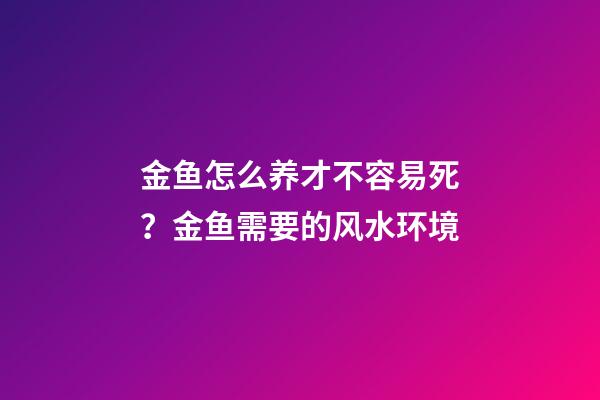金鱼怎么养才不容易死？金鱼需要的风水环境