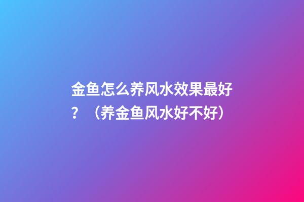金鱼怎么养风水效果最好？（养金鱼风水好不好）