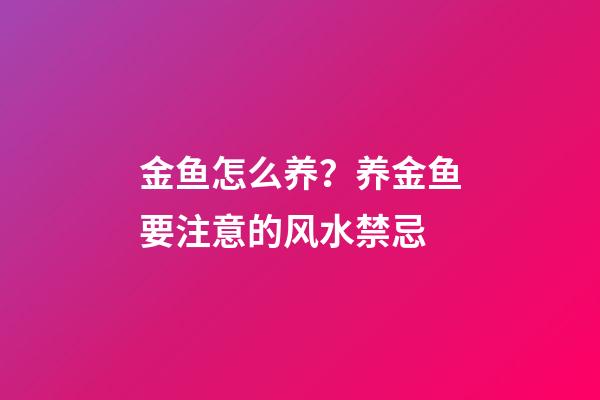 金鱼怎么养？养金鱼要注意的风水禁忌