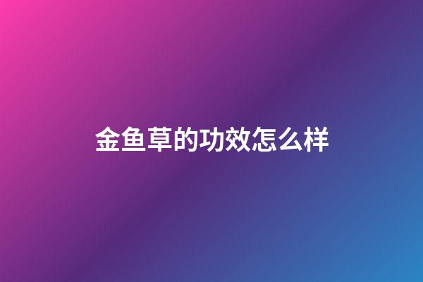 金鱼草的功效怎么样