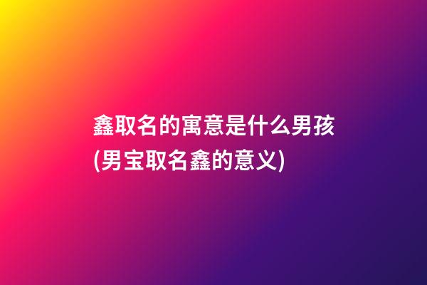鑫取名的寓意是什么男孩(男宝取名鑫的意义)