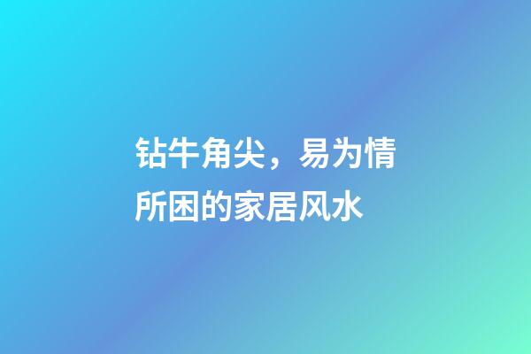 钻牛角尖，易为情所困的家居风水