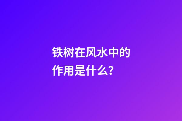 铁树在风水中的作用是什么？
