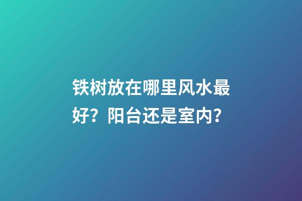 铁树放在哪里风水最好？阳台还是室内？