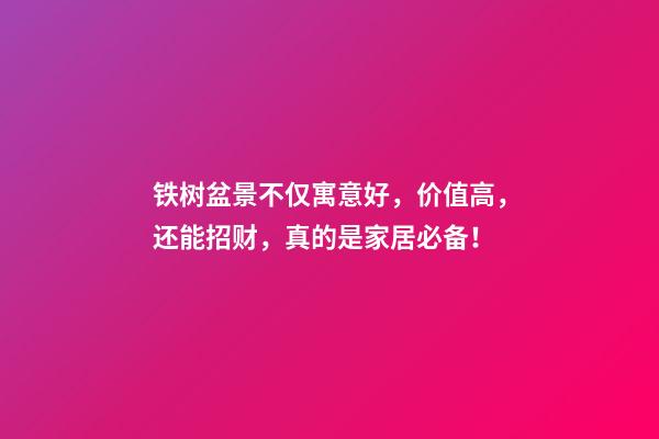铁树盆景不仅寓意好，价值高，还能招财，真的是家居必备！