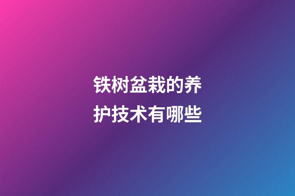 铁树盆栽的养护技术有哪些