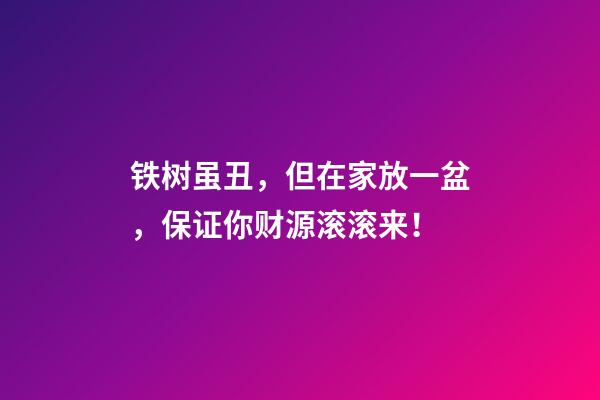 铁树虽丑，但在家放一盆，保证你财源滚滚来！