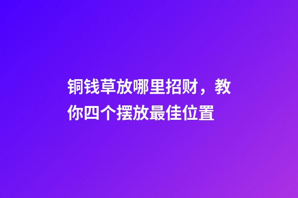 铜钱草放哪里招财，教你四个摆放最佳位置
