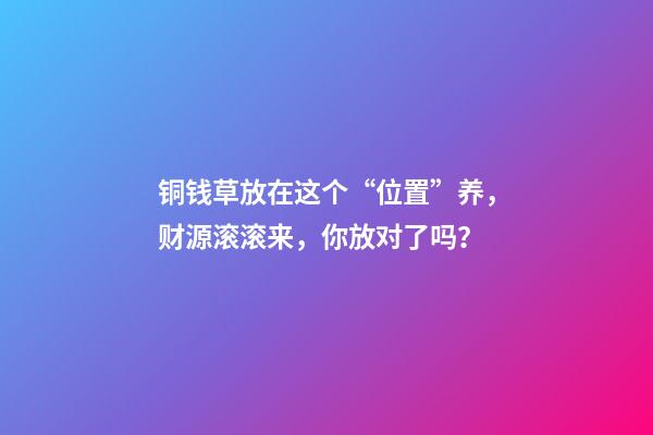 铜钱草放在这个“位置”养，财源滚滚来，你放对了吗？
