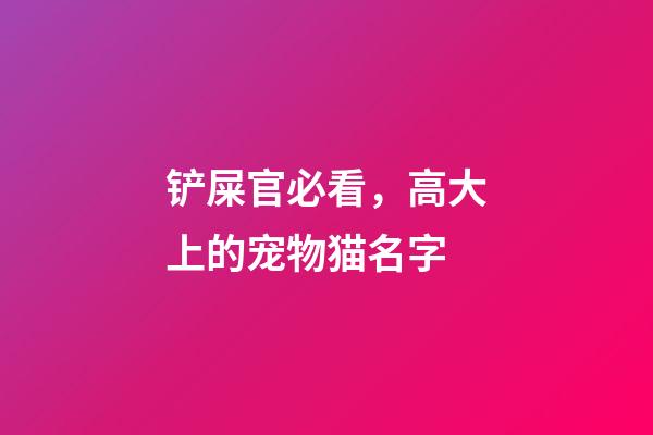 铲屎官必看，高大上的宠物猫名字
