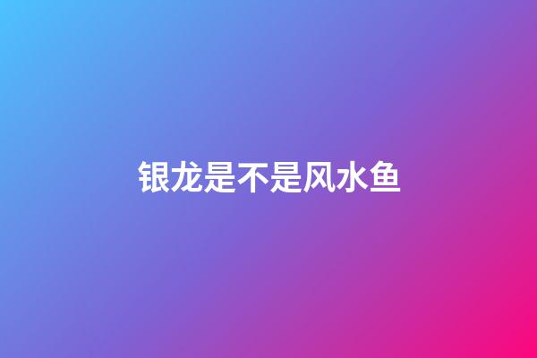 银龙是不是风水鱼