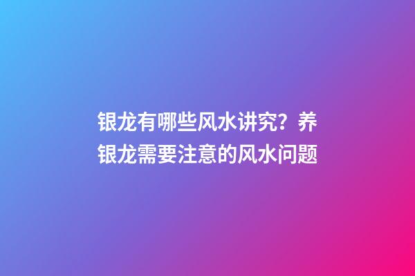 银龙有哪些风水讲究？养银龙需要注意的风水问题