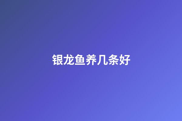 银龙鱼养几条好