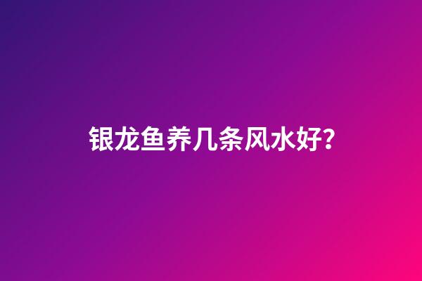 银龙鱼养几条风水好？