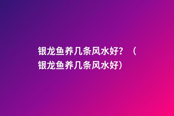 银龙鱼养几条风水好？（银龙鱼养几条风水好）