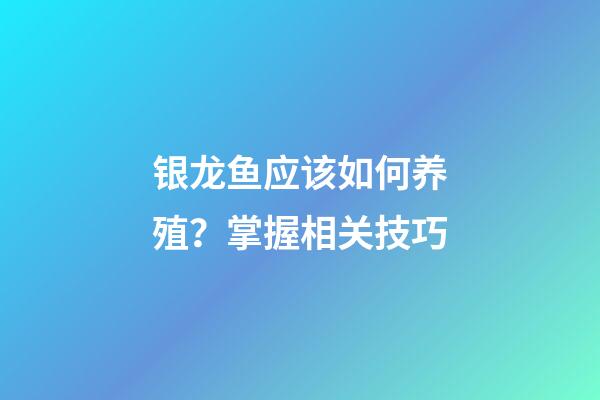 银龙鱼应该如何养殖？掌握相关技巧