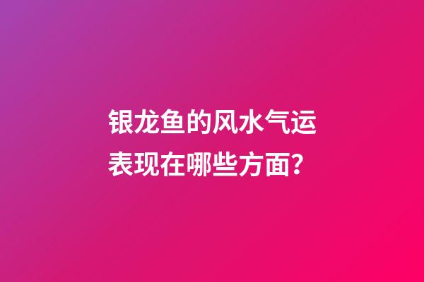 银龙鱼的风水气运表现在哪些方面？