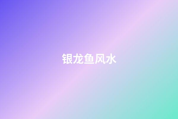 银龙鱼风水