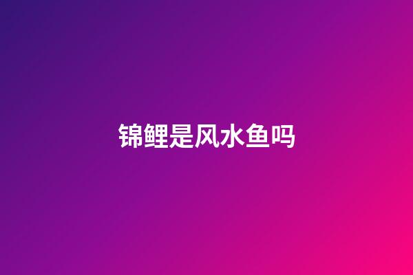 锦鲤是风水鱼吗