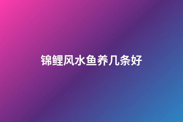 锦鲤风水鱼养几条好
