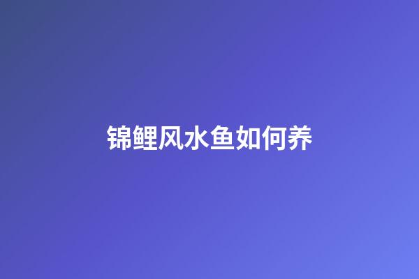 锦鲤风水鱼如何养