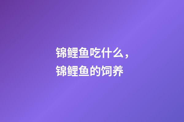 锦鲤鱼吃什么，锦鲤鱼的饲养
