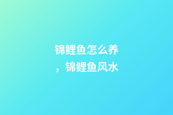 锦鲤鱼怎么养，锦鲤鱼风水