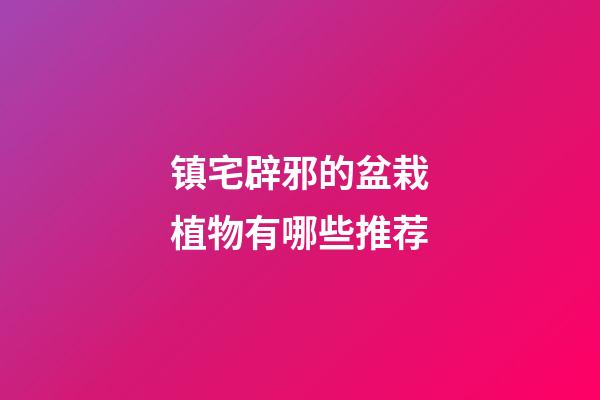 镇宅辟邪的盆栽植物有哪些推荐