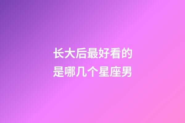 长大后最好看的是哪几个星座男-第1张-星座运势-玄机派