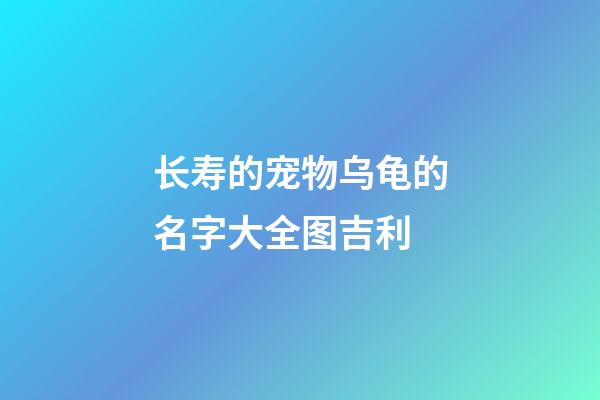 长寿的宠物乌龟的名字大全图吉利
