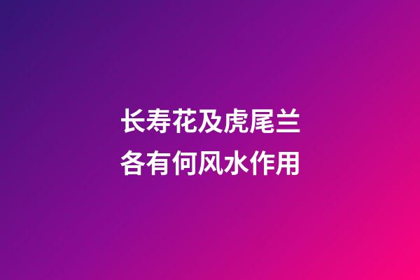 长寿花及虎尾兰各有何风水作用?