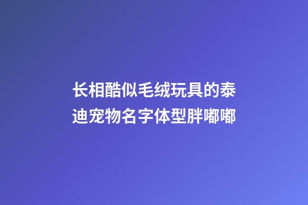 长相酷似毛绒玩具的泰迪宠物名字体型胖嘟嘟