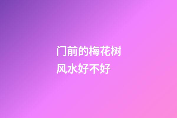 门前的梅花树风水好不好