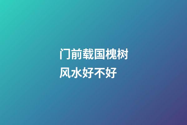 门前载国槐树风水好不好