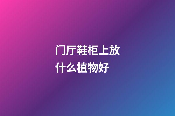 门厅鞋柜上放什么植物好