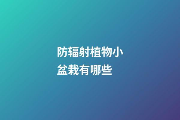 防辐射植物小盆栽有哪些