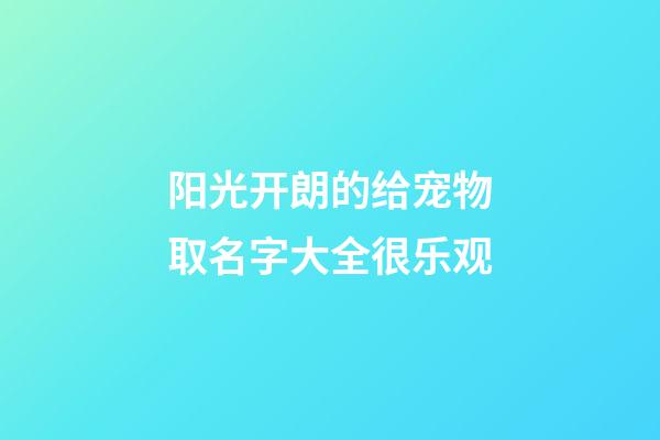 阳光开朗的给宠物取名字大全很乐观